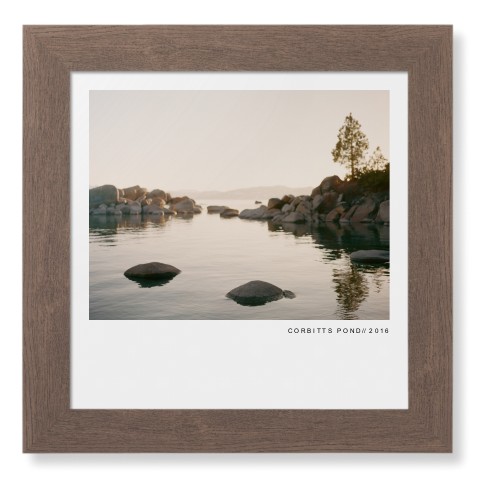 Modern Gallery Framed Print, Walnut, Contemporary, None, None, Single piece, 12x12, White, white