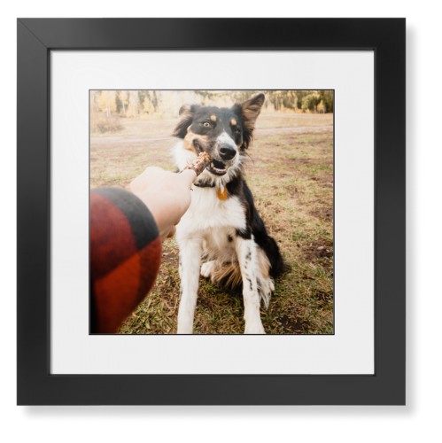 Pet Photo Gallery Framed Print, Black, Contemporary, Black, White, Single piece, 12x12, Multicolor