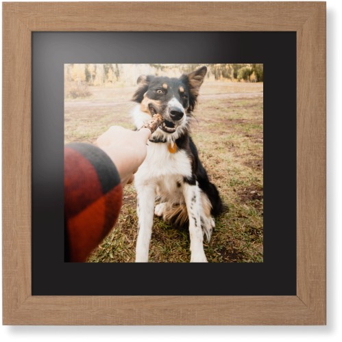 Pet Photo Gallery Framed Print, Natural, Contemporary, None, Black, Single piece, 12x12, Multicolor