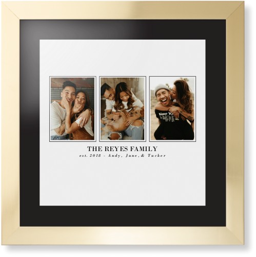 Classic Trio Framed Print, Matte Gold, Contemporary, Black, Black, Single piece, 16x16, White, white