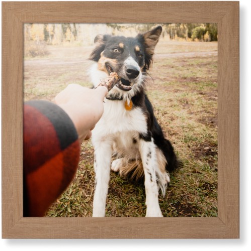 Pet Photo Gallery Framed Print, Natural, Contemporary, None, None, Single piece, 16x16, Multicolor