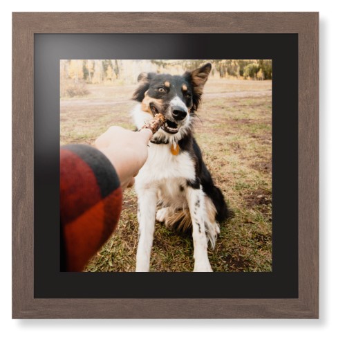 Pet Photo Gallery Framed Print, Walnut, Contemporary, Black, Black, Single piece, 16x16, Multicolor, multi