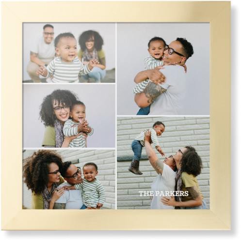 Gallery of Five Portrait Framed Print, Matte Gold, Contemporary, None, None, Single piece, 16x16, Multicolor
