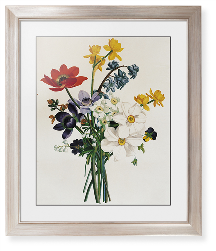 Floral Illustration Framed Print, Metallic, Modern, Black, White, Single piece, 16x20, Multicolor