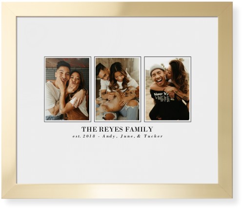 Classic Trio Framed Print, Matte Gold, Contemporary, None, White, Single piece, 16x20, White, white
