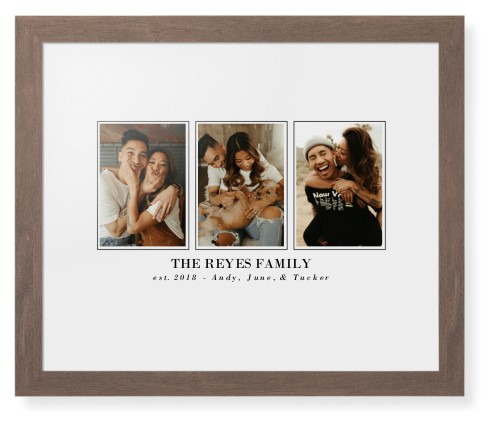 Classic Trio Framed Print, Walnut, Contemporary, None, White, Single piece, 16x20, White, white