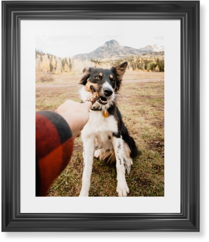 Pet Photo Gallery Framed Print, Black, Classic, None, White, Single piece, 16x20, Multicolor, multi