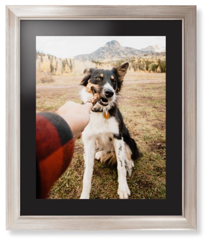 Pet Photo Gallery Framed Print, Metallic, Modern, Black, Black, Single piece, 16x20, Multicolor, multi