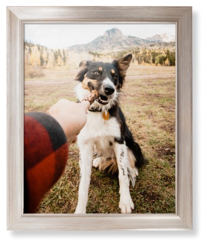 Pet Photo Gallery Framed Print, Metallic, Modern, None, None, Single piece, 16x20, Multicolor