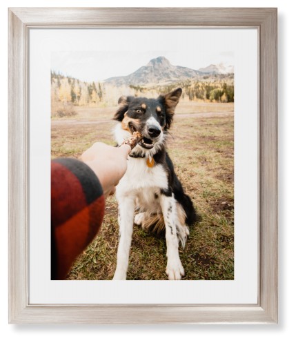 Pet Photo Gallery Framed Print, Metallic, Modern, White, White, Single piece, 16x20, Multicolor