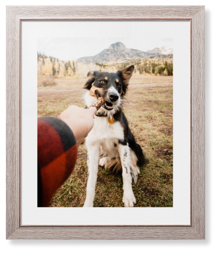 Pet Photo Gallery Framed Print, Rustic, Modern, None, White, Single piece, 16x20, Multicolor, multi