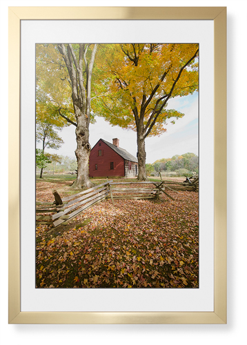 Barn in Autumn Framed Print, Matte Gold, Contemporary, Black, White, Single piece, 20x30, Multicolor