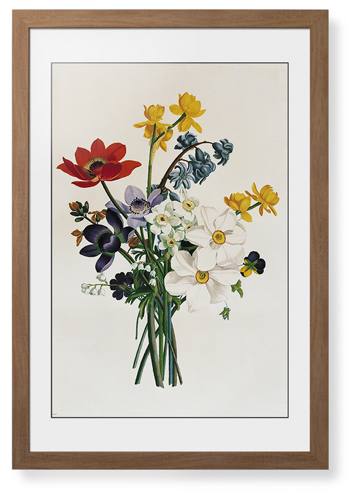 Floral Illustration Framed Print, Natural, Contemporary, Black, White, Single piece, 20x30, Multicolor