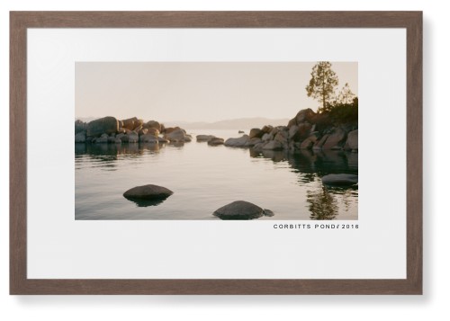 Modern Gallery Framed Print, Walnut, Contemporary, None, White, Single piece, 20x30, White
