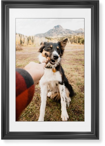 Pet Photo Gallery Framed Print, Black, Classic, Black, White, Single piece, 20x30, Multicolor