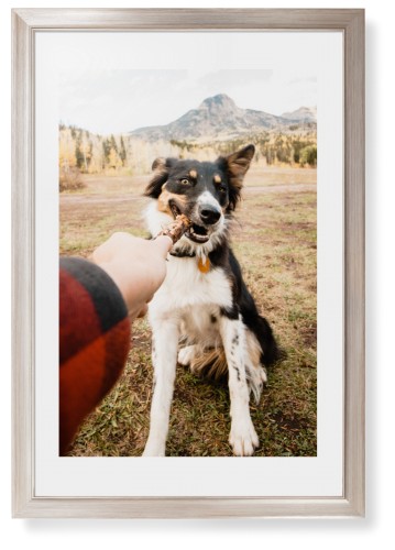 Pet Photo Gallery Framed Print, Metallic, Modern, None, White, Single piece, 20x30, Multicolor, multi