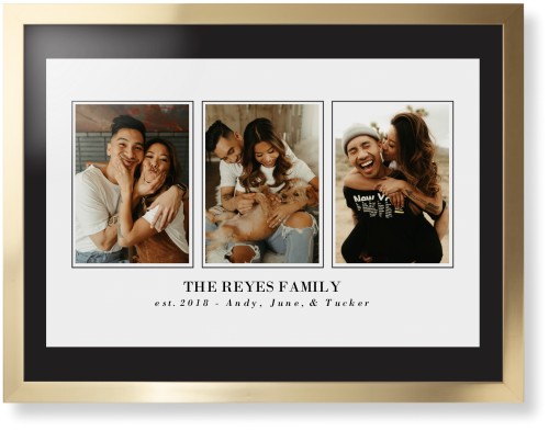 Classic Trio Framed Print, Matte Gold, Contemporary, None, Black, Single piece, 24x36, White