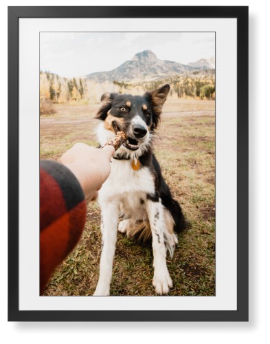 Multi Photo Frames
