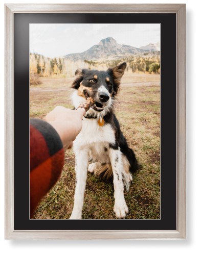 Pet Photo Gallery Framed Print, Metallic, Modern, White, Black, Single piece, 24x36, Multicolor