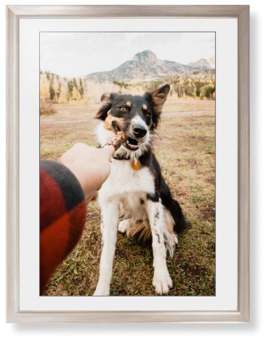 Pet Photo Gallery Framed Print, Metallic, Modern, Black, White, Single piece, 24x36, Multicolor