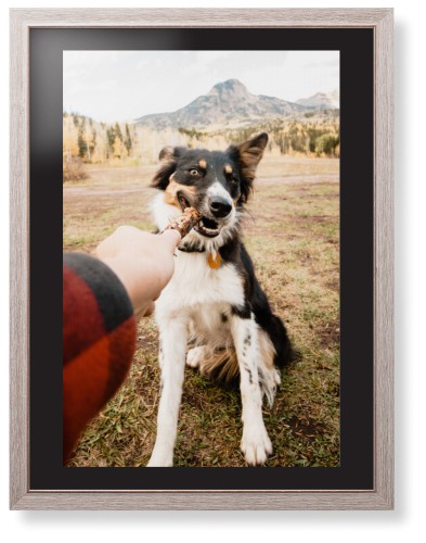 Pet Photo Gallery Framed Print, Rustic, Modern, None, Black, Single piece, 24x36, Multicolor