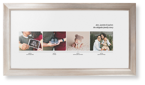 Family Timeline Framed Print, Metallic, Modern, None, White, Single piece, 10x24, White