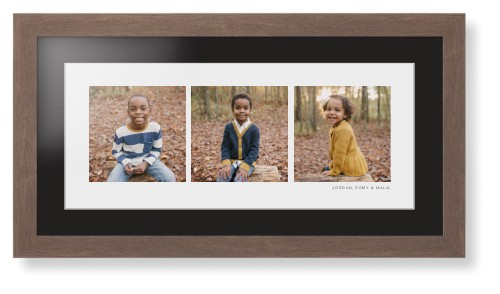 Panoramic Gallery of Three Framed Print, Walnut, Contemporary, White, Black, Single piece, 10x24, Multicolor, multi