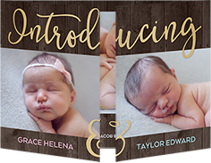 twin introduction birth announcement