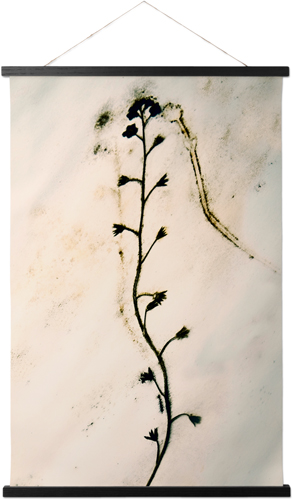 Pressed Flower Hanging Canvas Print, Black, 20x30, Multicolor