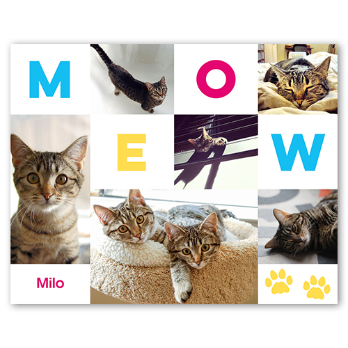 Meow, -16x20-White