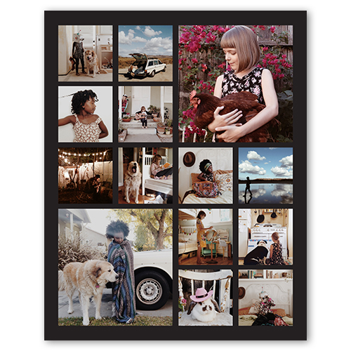 Gallery of Fourteen, -16x20-Multicolor