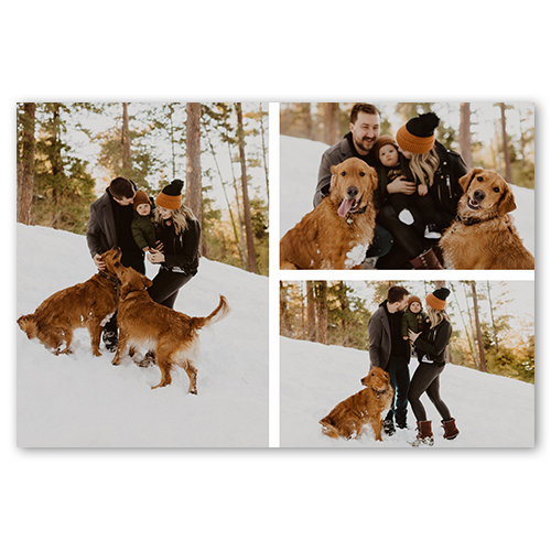 Gallery of Three, -20x30-Multicolor