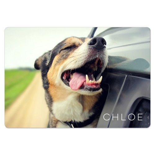 Photo Gallery Pet Magnet, 3x5, Multicolor