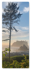 Photo Gallery Pano Portrait