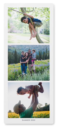 Three of a Kind Portrait Wall Art, No Frame, Single piece, Metal, 10x24, Matte, Multicolor