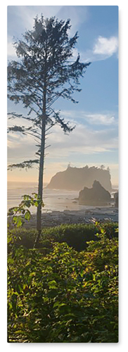 Photo Gallery Pano Portrait Wall Art, No Frame, Single piece, Metal, 12x36, Glossy, Multicolor