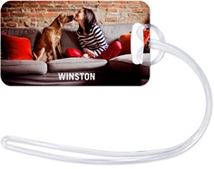 Pets Photo Gallery Horizontal