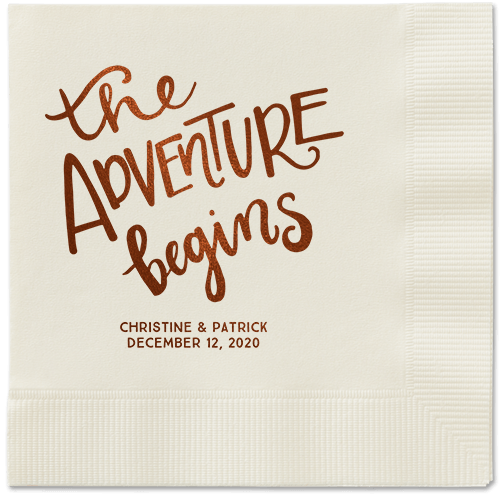 Remarkable Adventure Napkins, Brown, Ecru