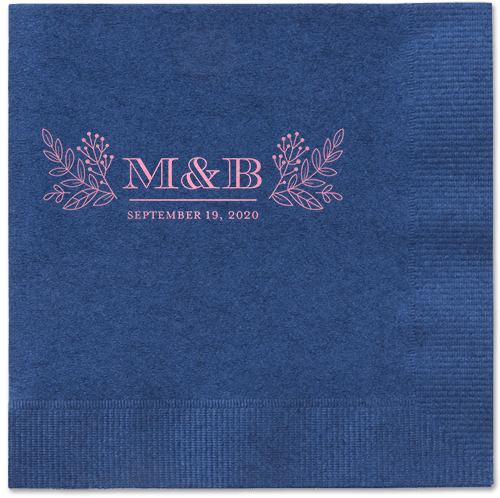 Captivated Chalk Napkins, Pink, Navy