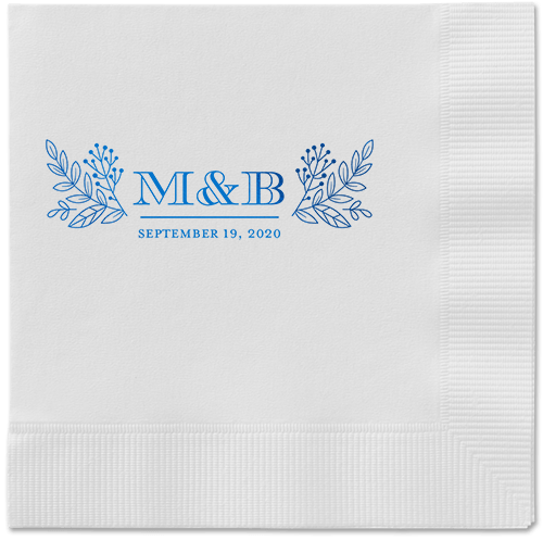 Captivated Chalk Napkins, Blue, White