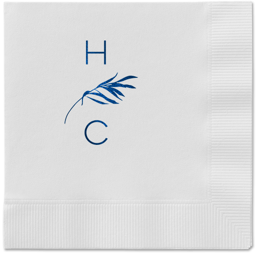 Blue And White Cloth Napkins