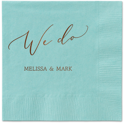 Snapshot Serenity Napkin, Brown, Aqua, mocha-matte