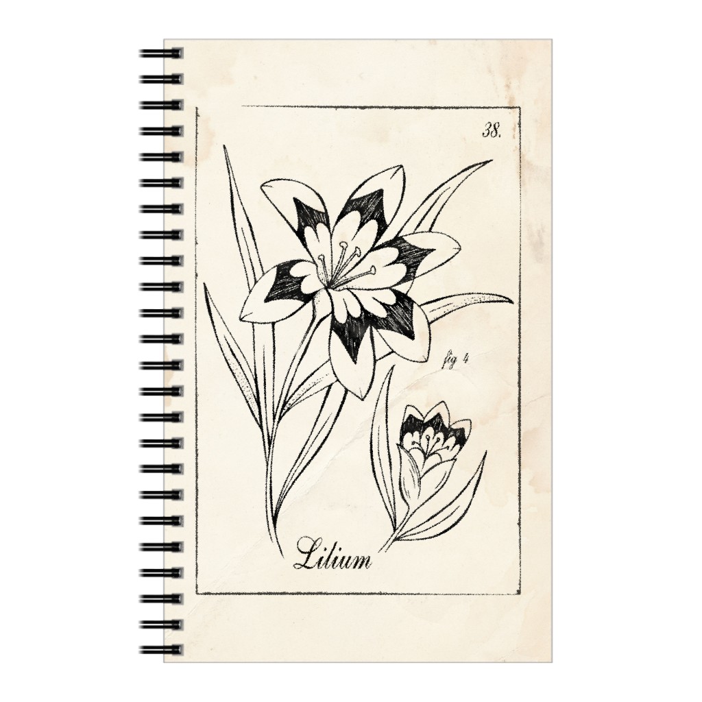 Vintage Plate Lily Sketch - Beige and Black Notebook, 5x8, Beige