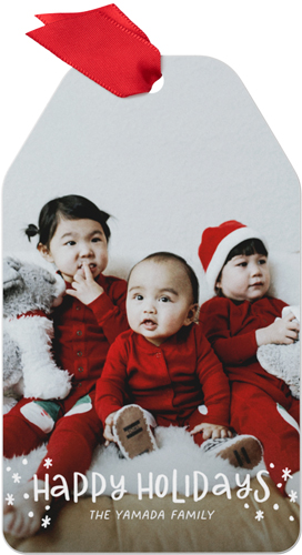 Playful Holidays Metal Ornament, White, Gift Tag, white