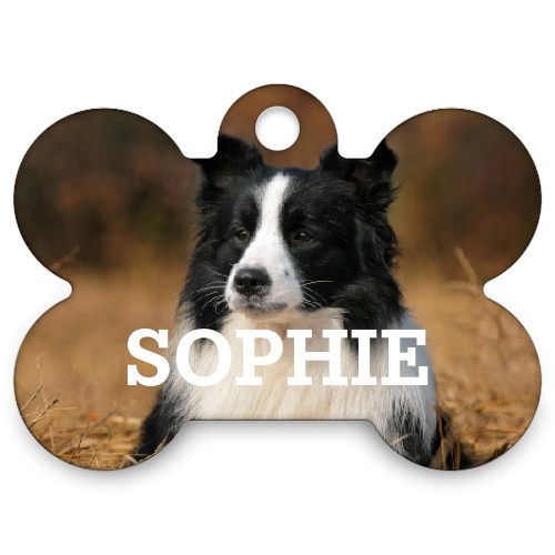 dog tags shutterfly