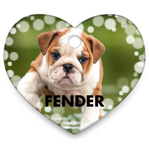 Bokeh Frame Heart Pet Tag, White