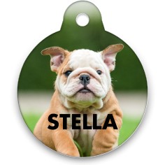 Shutterfly shop pet tags