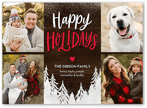 Blanketed Forest 5x7 Photo Card By Shutterfly Shutterfly