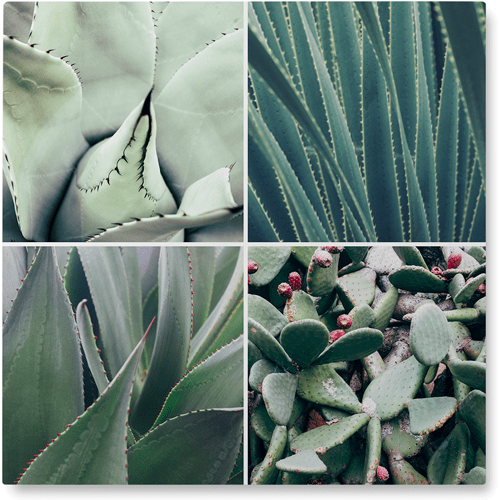 Four Top Photo Tile, Metal, 16x16, Multicolor, multi