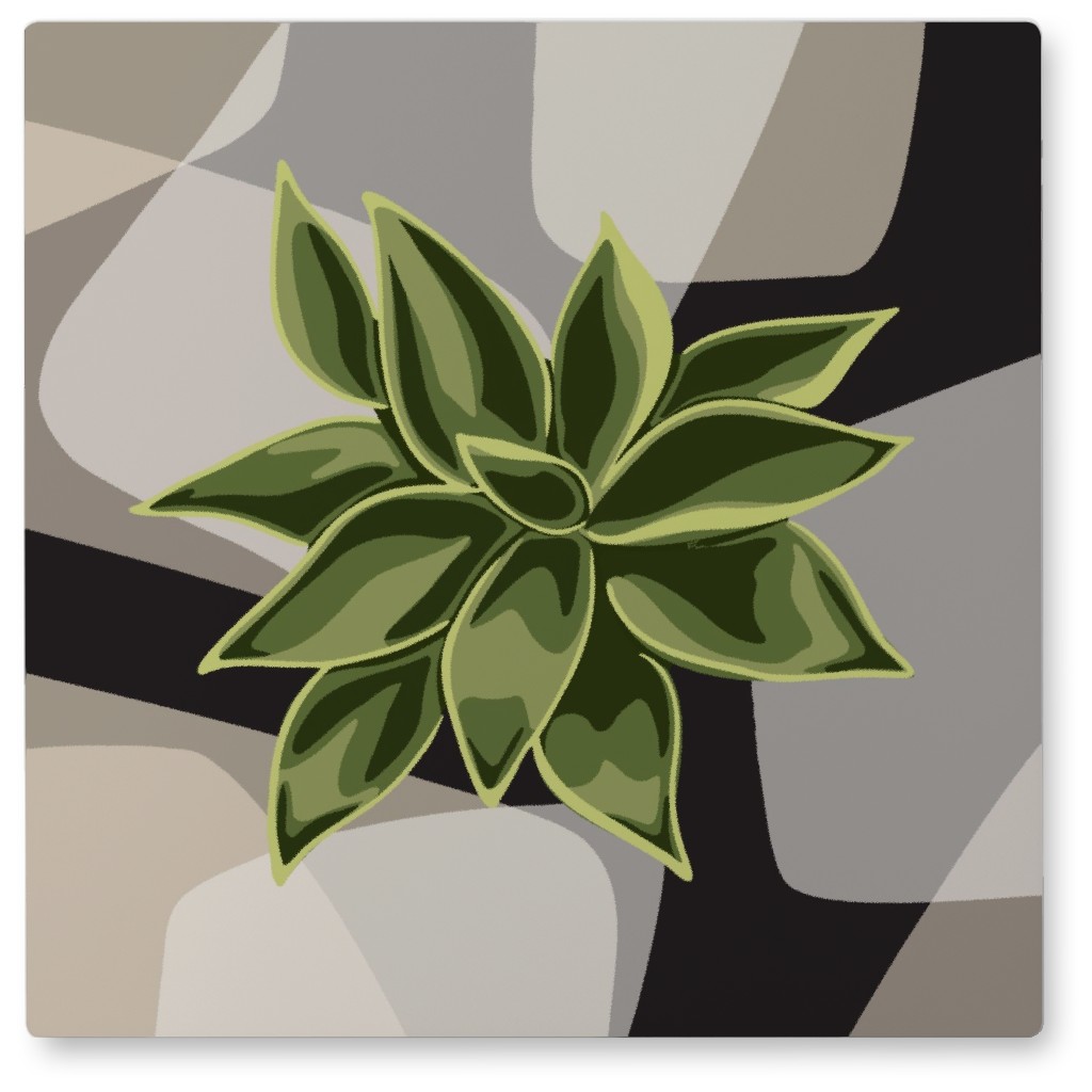 Modern Succulent - Green on Neutral Photo Tile, Metal, 8x8, Green, Classic Green